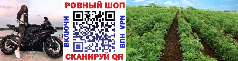 Цена Аргун OMG ONION Бошки Шишки A-PVP