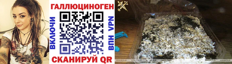 МЕГА онион  Аргун  Галлюциногенные грибы Psilocybe 