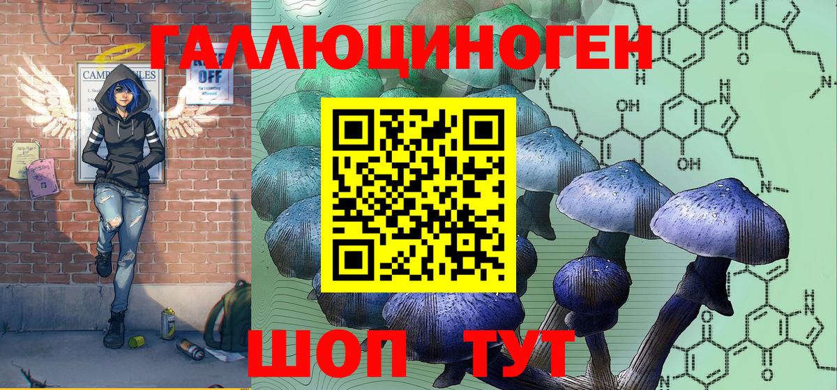 Галлюциногенные грибы Psilocybine cubensis Аргун