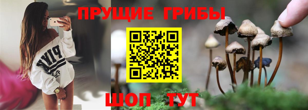 наркошоп  Галлюциногенные грибы прущие грибы  Аргун  Вход с VPN  Галлюциногенные грибы Psilocybine cubensis 